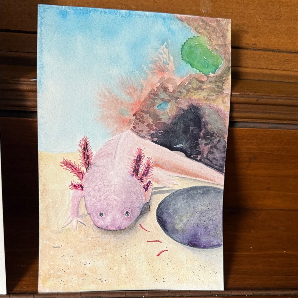 Watercolor Axolotl Art Unframed